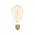 LED Golden Light Bulb Carbon Line Curved Spiral Filament Edison ST64 4W 250Lm E27 1800K Dimmable - C04