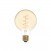 LED Golden Light Bulb Carbon Line Curved Spiral Filament Globe G95 4W 250Lm E27 1800K Dimmable - C06