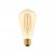 LED Golden Light Bulb Carbon Line Filament Cage Edison ST64 7W 640Lm E27 2700K Dimmable - C54