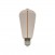 LED Smoky Magnetic Light Bulb Deco Line Edison ST64 2,2W 60Lm E27 1800K - F03