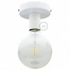 Fermaluce Metal,wall or ceiling flush light