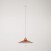 Pendant lamp with Swing shade for tracks