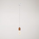 Pendant lamp with satin metal track trim