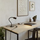 MAG-Y desk lamp with Flex, oval metal base and spot light